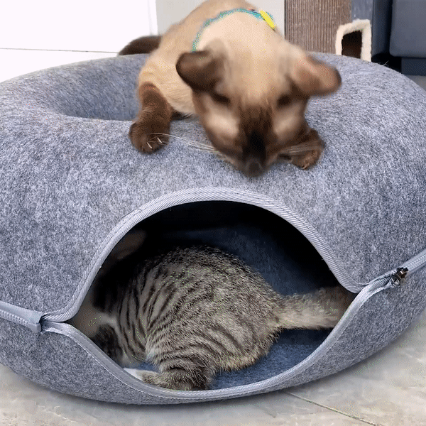 Cama Dona Para Gatos Túnel Ronroneo 🐱