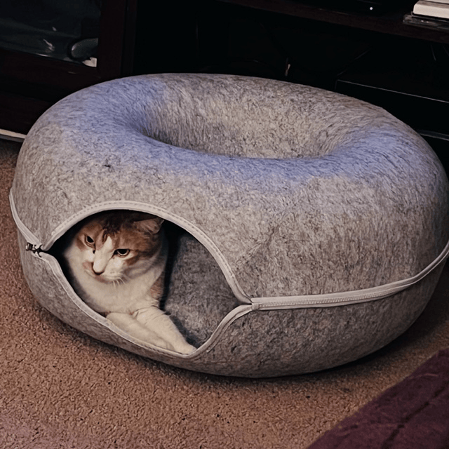 Cama Dona Para Gatos Túnel Ronroneo 🐱