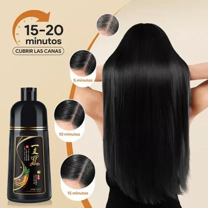 Shampoo Instantáneo Cubre Canas 3 en 1 Natural - Jengibre 2 por el precio de 1