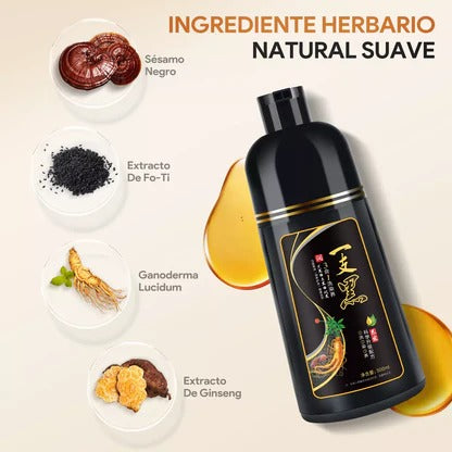 Shampoo Instantáneo Cubre Canas 3 en 1 Natural - Jengibre 2 por el precio de 1