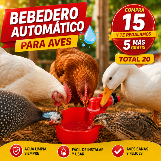 (20) Los bebederos automáticos para aves de corral proporcionan un suministro continuo de agua sin desperdicio y son fáciles de instalar en las tuberías.
