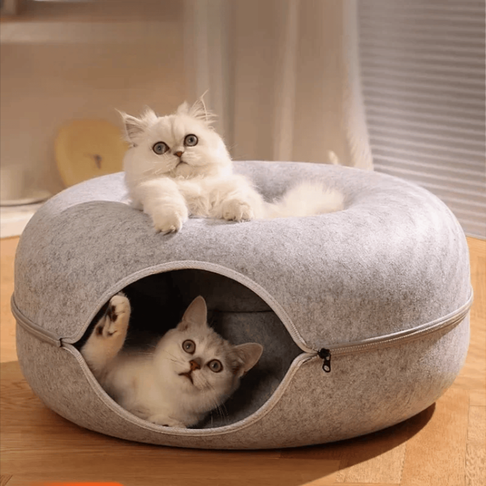 Cama Dona Para Gatos Túnel Ronroneo 🐱