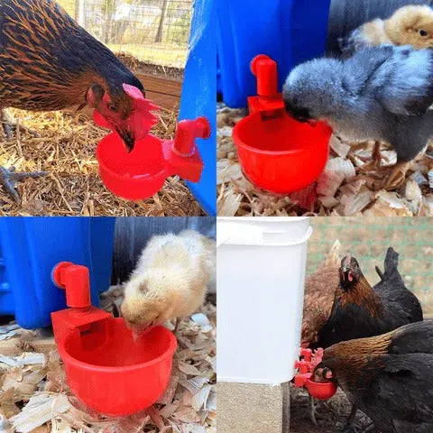 (20) Los bebederos automáticos para aves de corral proporcionan un suministro continuo de agua sin desperdicio y son fáciles de instalar en las tuberías.