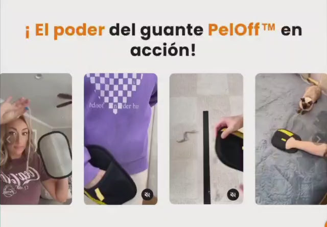 Cargar video: 